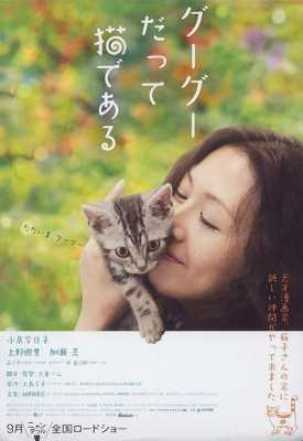 日本电影女主身上有花（日本电影女主是只猫）